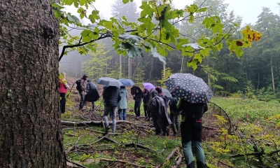 Náhled článku: Nový prales na Ještědu se rozroste o dalších 4,5 hektaru