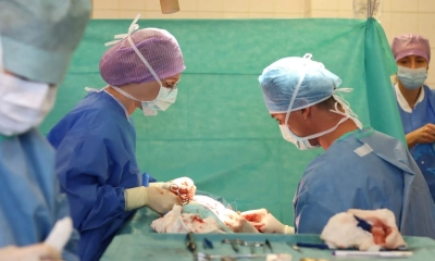 Náhled článku: Ve frýdlantské nemocnici funguje ambulance plastické chirurgie. Zaměřuje se i na kožní nádory a chirurgii ruky