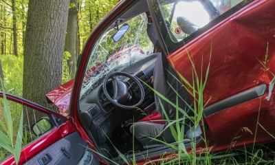 Náhled článku: Řídíme bezpečněji, ale umíráme zbytečně. Slabinou je v Libereckém kraji první pomoc