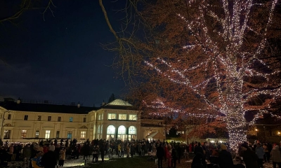 Náhled článku: Liebiegův palác rozzářil vánoční strom v zahradě. Ani letos to není jehličnan
