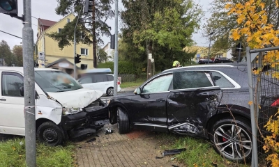 Náhled článku: Více než osmdesát výjezdů za víkend. Hasiči v Libereckém kraji káceli stromy, hasili dodávku a vyprošťovali uvízlou ovci