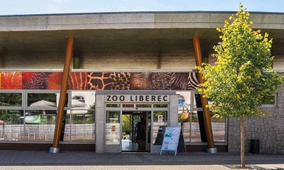 Náhled článku: Pavilon levhartů v liberecké zoo projde modernizací za téměř 150 milionů