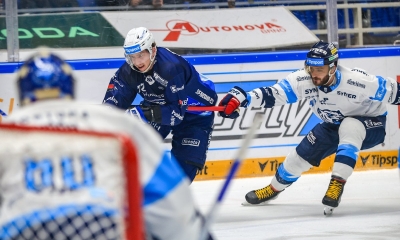 Náhled článku: Tygři v Brně vzdorovali, mistr si ale body pohlídal