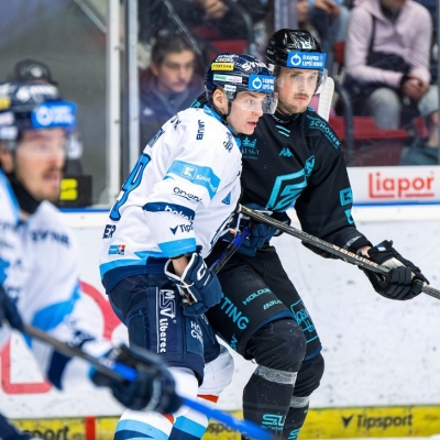 Náhled článku mobil: Tygři vybojovali bod v Karlových Varech, znovu rozhodly nájezdy