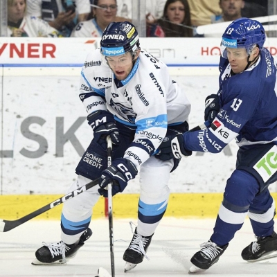 Náhled článku mobil: Tygři vsází na mladé útočníky. Nové smlouvy podepsali Jansa a Hujer