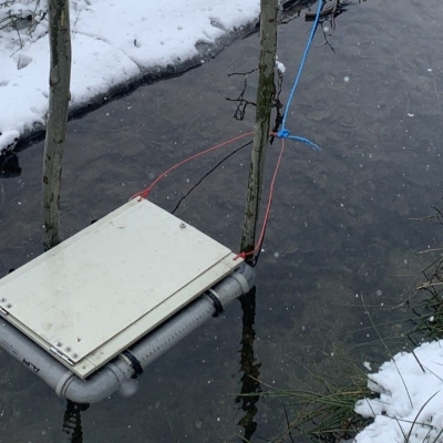 Náhled článku mobil: Pstruzi mají nové „školky“. Na Frýdlantsku zkoušejí novou metodu pro jejich přežití