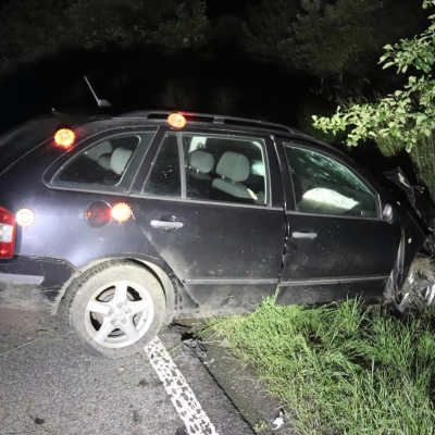 Náhled článku mobil: Naboural do stromu, utekl a omylem si stopnul policejní auto