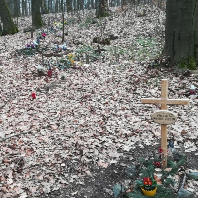 Náhled článku mobil: Nelegální hřbitůvek zvířat v Turnově čeká pravděpodobně likvidace. Pomníčky a svíčky musí lidé odklidit