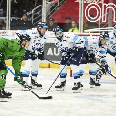 Náhled článku mobil: Liberecké derby rozhodly nájezdy. Tygři udolali Mladou Boleslav