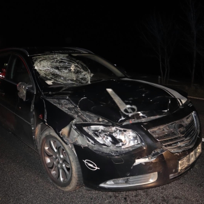 Náhled článku mobil: Řidičovi vběhla do cesty kráva. Spolujezdkyně skončila v nemocnici