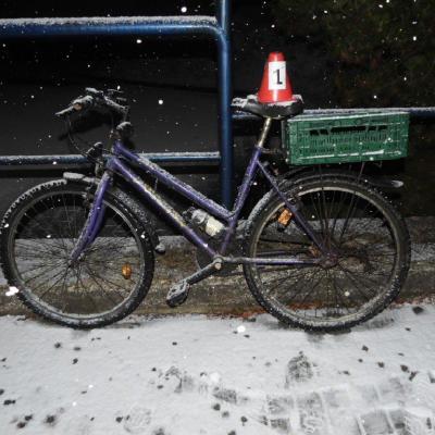 Náhled článku mobil: Opilý cyklista s pistolí měl nehodu. Pak pak napadl záchranáře