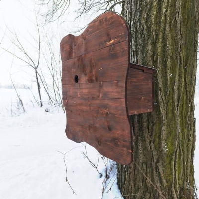 Náhled článku mobil: Dudek chocholatý se vrací na Českolipsko. Zahnízdit může v nových budkách