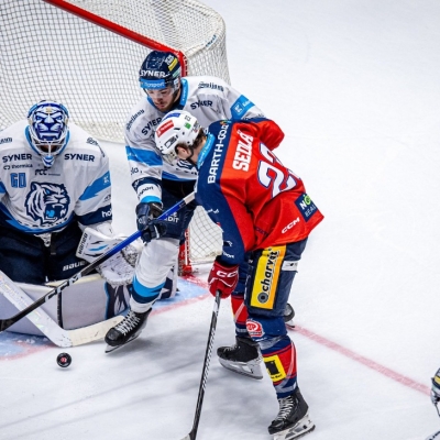 Náhled článku mobil: Bod z ledu lídra. Tygři potrápili Pardubice, rozhodly až nájezdy