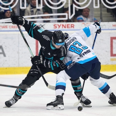 Náhled článku mobil: Rozhodující výhra pro Tygry. V napínavém duelu přetlačili HC Energie Karlovy Vary