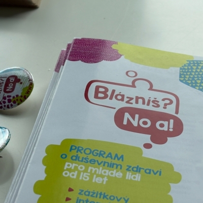 Náhled článku mobil: Liberecký kraj získal miliony na podporu duševního zdraví