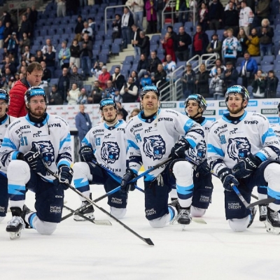 Náhled článku mobil: Dražba dresů Bílých Tygrů vynesla přes 220 tisíc. Podpoří mládež i charitu