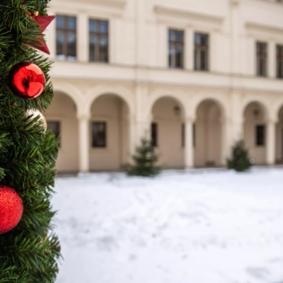 Náhled článku mobil: Originální dárek od místních autorů. Nejen to nabídnou Knihovánoce v Liebiegově paláci