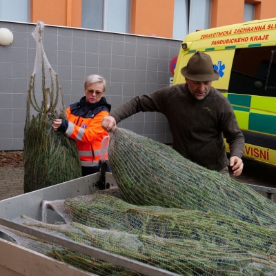 Náhled článku mobil: Vánoční stromek pro každého. Lesy ČR je opět darují do dětských domovů i nemocnic