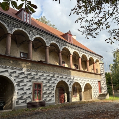 Náhled článku mobil: Archeologický výzkum v Červeném domě odkrývá historii barvírenství i tajemství středověku