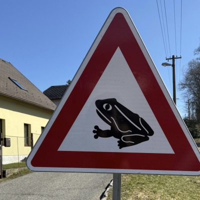 Náhled článku mobil: Obojživelníci se vracejí k vodě. Vratislavice instalují ochranné zábrany