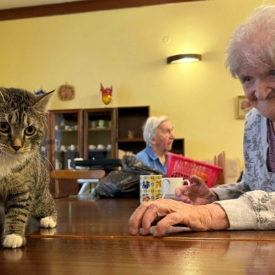 Náhled článku mobil: Terapie předením. Hendikepovaná kočička Princezna rozdávala radost v jabloneckém domově seniorů