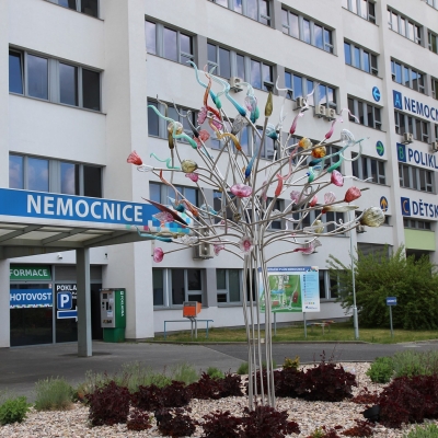 Náhled článku mobil: Fúze potvrzena. Liberecká a českolipská nemocnice se od 1. ledna spojí