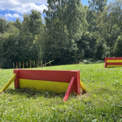 Náhled článku mobil: V Liberci zrekonstruovali psí cvičiště. Jde o projekt z participativního rozpočtu