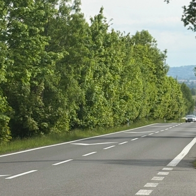 Náhled článku mobil: Liberec investuje 13 milionů do bezpečnosti chodců, v Hejnické ulici vznikne nový chodník