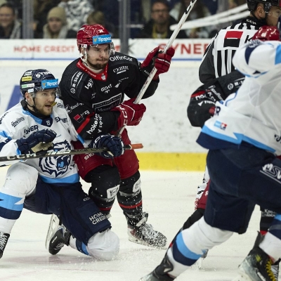 Náhled článku mobil: Drama v Home Credit Areně. Tygři porazili Hradec 3:2 díky parádní otočce Petrovského