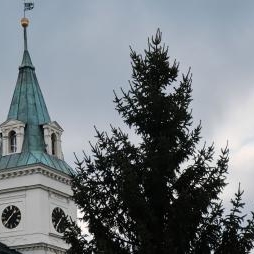 Náhled článku mobil: Zatímco odhazujeme zimní kabáty, Turnov už myslí na Vánoce. Shání strom náměstí