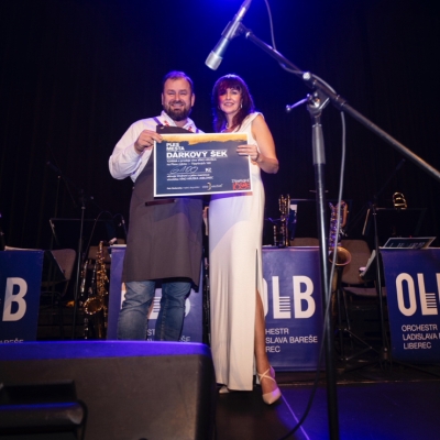 Náhled článku mobil: Jablonec pomáhá. Městský ples vynesl 90 tisíc korun pro čtrnáctiletého Ondru