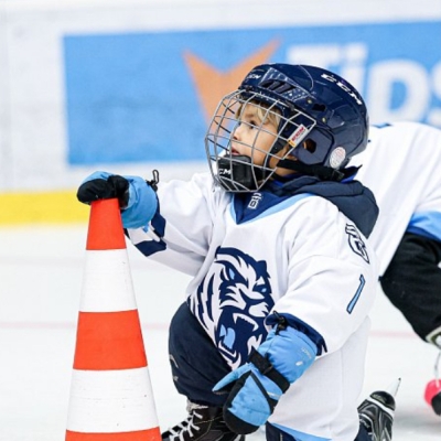 Náhled článku mobil: Bílí Tygři zvou na rodinný hokej: Proti Litvínovu pomůže dětská soupiska i minihokej