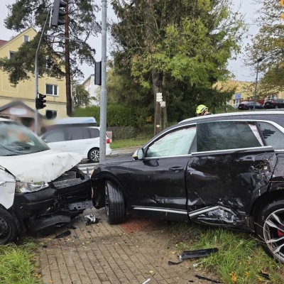 Náhled článku mobil: Více než osmdesát výjezdů za víkend. Hasiči v Libereckém kraji káceli stromy, hasili dodávku a vyprošťovali uvízlou ovci