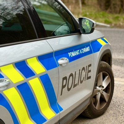 Náhled článku mobil: Chtěl pár papoušků Ara, přišel o 60 tisíc. Muž ze Semilska naletěl podvodnici