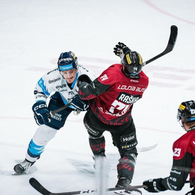 Náhled článku mobil: Sparta přetlačila Liberec v prodloužení. O výhře rozhodl Shore, Tygři berou bod