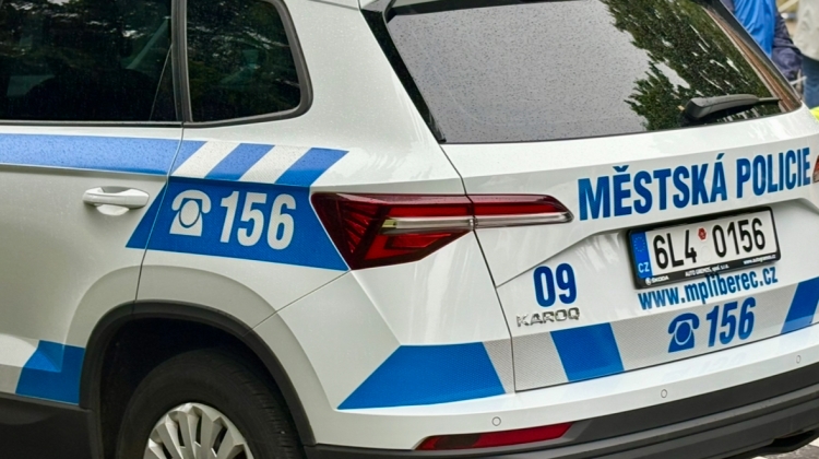 Náhled článku: Agresivní muž v centru Liberce napadal lidi. Zpacifikovali ho okrskáři, pak zamířil na záchytku