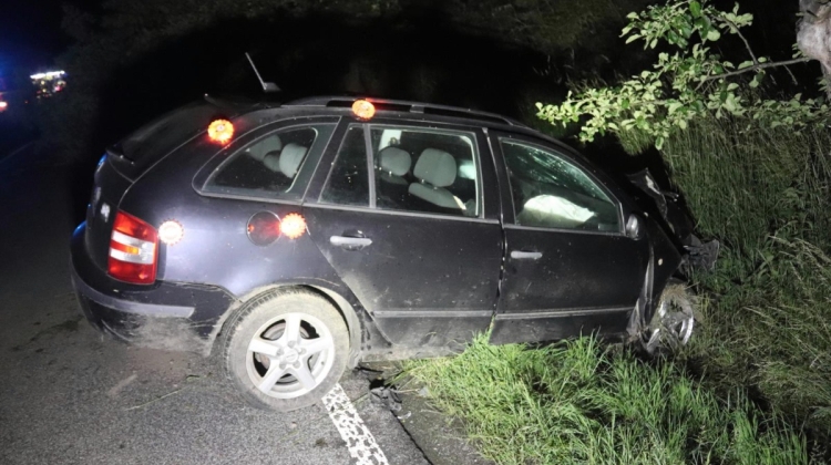 Náhled článku: Naboural do stromu, utekl a omylem si stopnul policejní auto