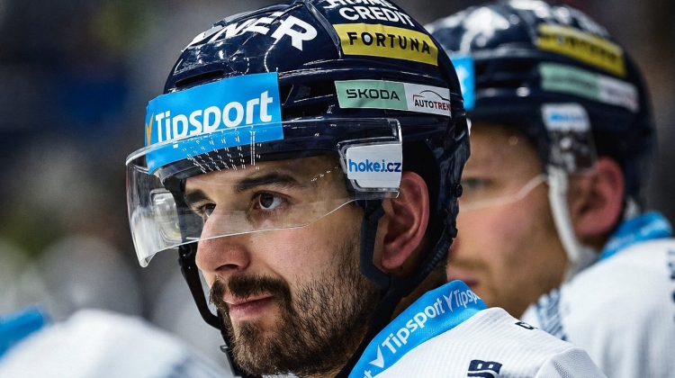 Náhled článku: Hanousek se vrací do Liberce. Tygři hlásí první posilu