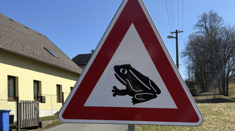 Náhled článku: Obojživelníci se vracejí k vodě. Vratislavice instalují ochranné zábrany