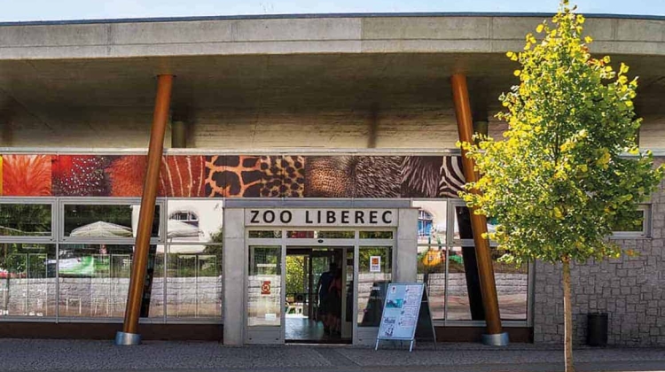 Náhled článku: Pavilon levhartů v liberecké zoo projde modernizací za téměř 150 milionů