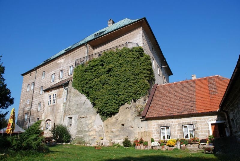 Image 2