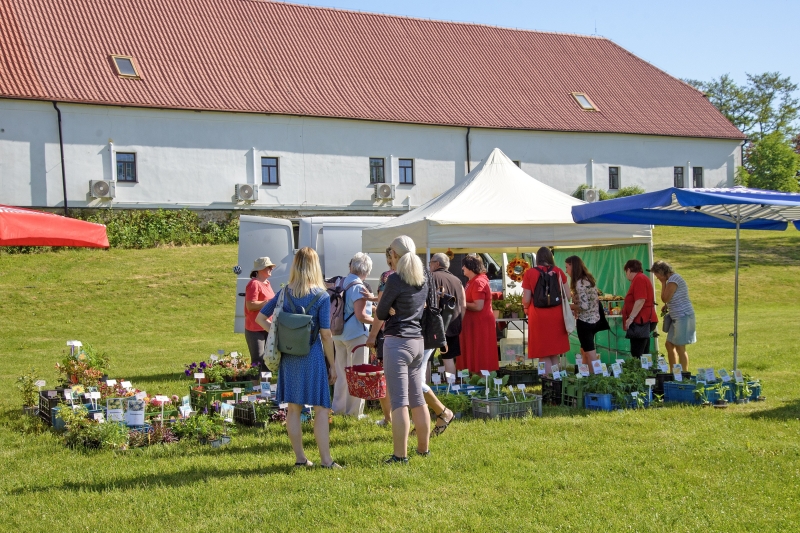 Image 23