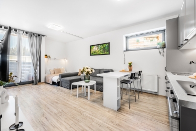 Náhled nabídky: Prodej bytu 2+kk 48 m² v Harrachově