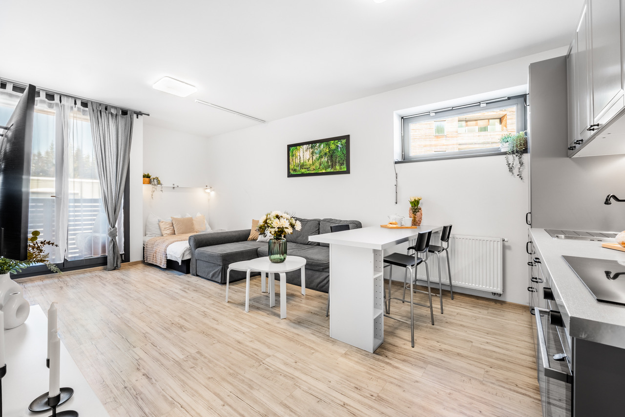 Prodej bytu 2+kk 48 m² v Harrachově